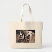 adorable pitbull puppies dogs