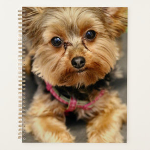 Adorable planner