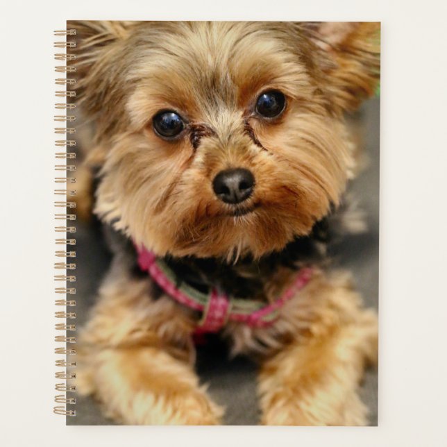 Adorable  planner (Front)