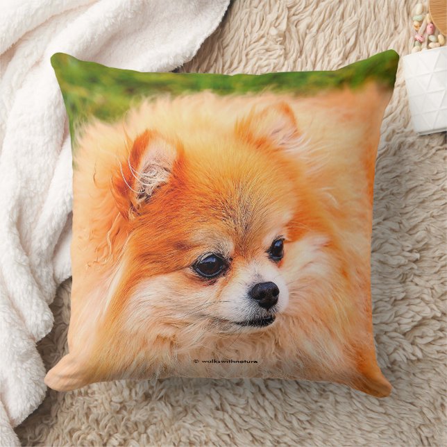 Adorable Pomeranian Dog Cushion (Blanket)