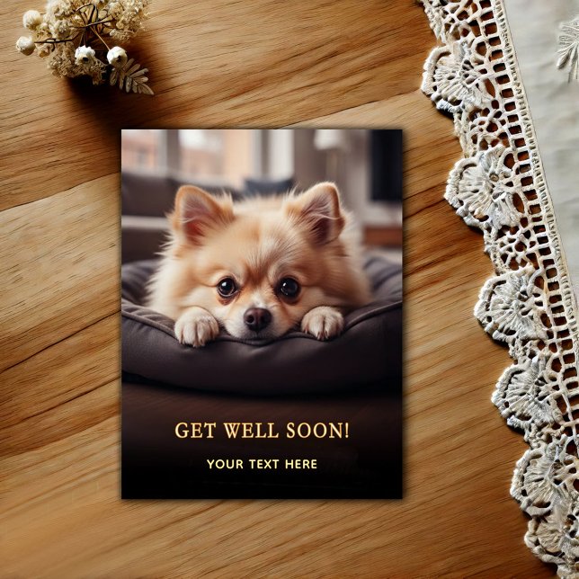 Adorable Pomeranian Get Well  Postcard (Creator Uploaded)