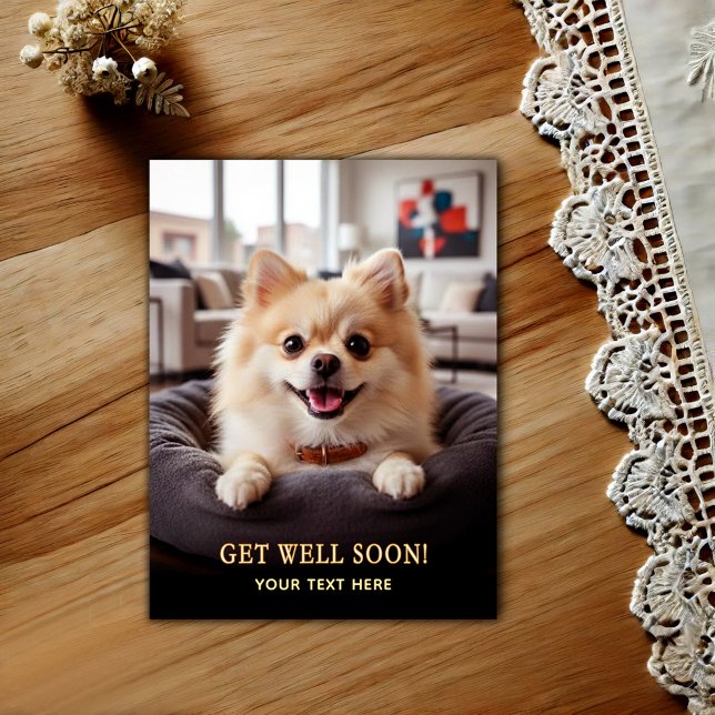 Adorable Pomeranian Get Well  Postcard (Creator Uploaded)