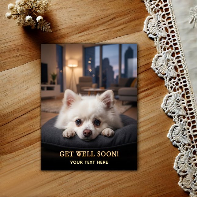 Adorable Pomeranian Get Well  Postcard (Creator Uploaded)