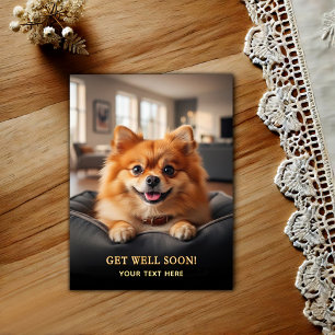 Adorable Pomeranian Get Well  Postcard