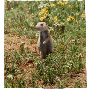 Adorable Prairie Dog Shower Curtain