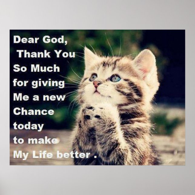 Adorable Praying Kitten Poster (Front)