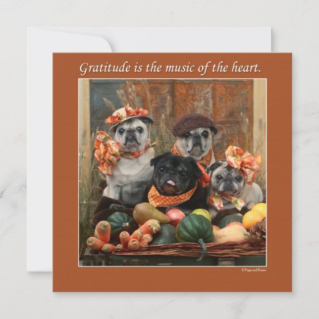 Adorable Pug Flat Thanksgiving Card (Front)