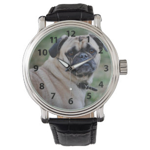 Adorable Pug Watch