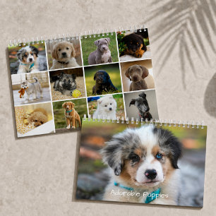 Adorable Puppies 2026 Cute Dog Calendar