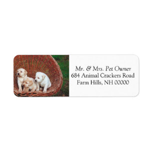 Adorable Puppies Return Address Mail Label Sticker