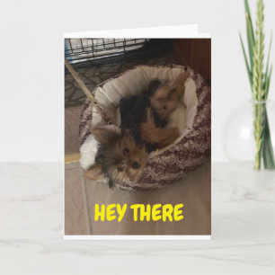 ADORABLE PUPPY WAKES UP TO SAY "HAPPY BIRTHDAY" CARD