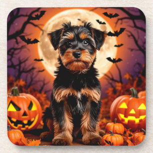 Adorable Puppy with Halloween Background Coaster