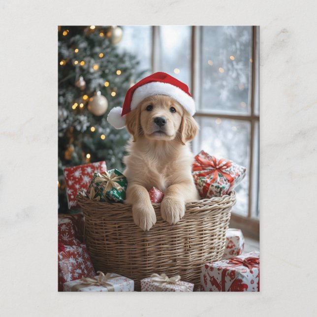 Adorable Puppy with Santa Hat in Basket  Postcard (Front)
