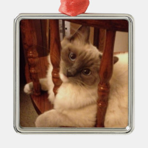 Adorable Ragdoll Cat lounging on a chair Metal Tree Decoration