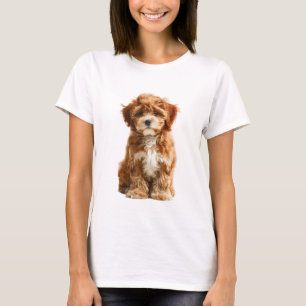 Adorable Red Brown Fluffy Cavapoo Puppy Women T-Shirt