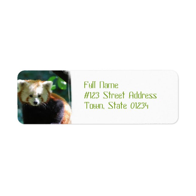 Adorable Red Panda Address Labels (Front)