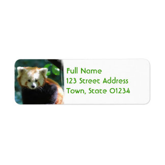 Adorable Red Panda Mailing Labels