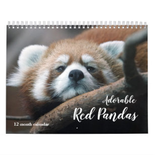 Adorable Red Pandas 2024 Calendar