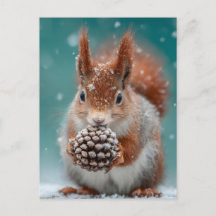 Adorable Red Squirrel in the Snow with a Pinecone Holiday Postcard