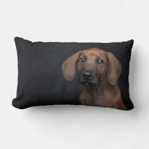 Adorable Rhodesian Ridgeback Puppy Portrait Dog Ph Lumbar Cushion