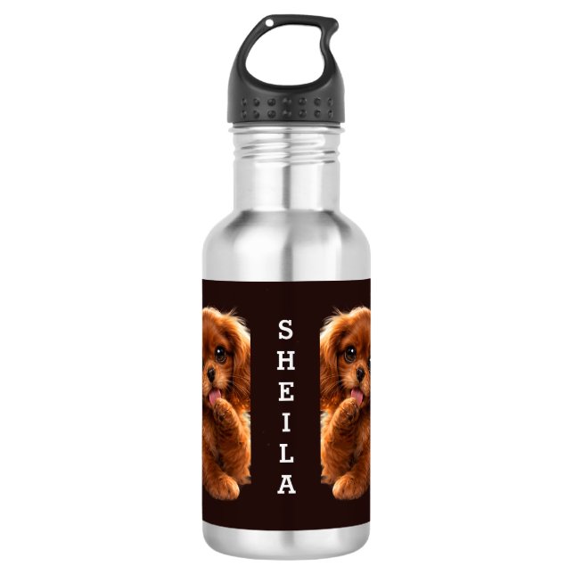 Adorable Ruby Cavalier Spaniel 532 Ml Water Bottle (Front)