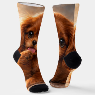 Adorable Ruby Cavalier Spaniel Socks