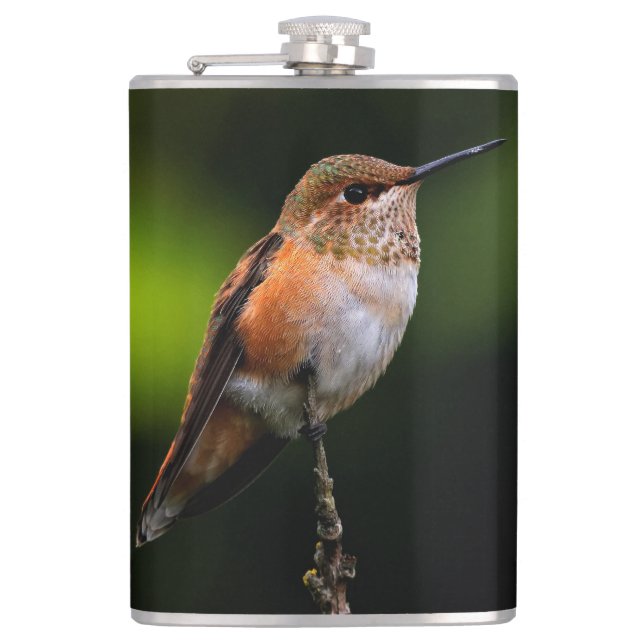 Adorable Rufous Hummingbird on Branch Hip Flask (Front)