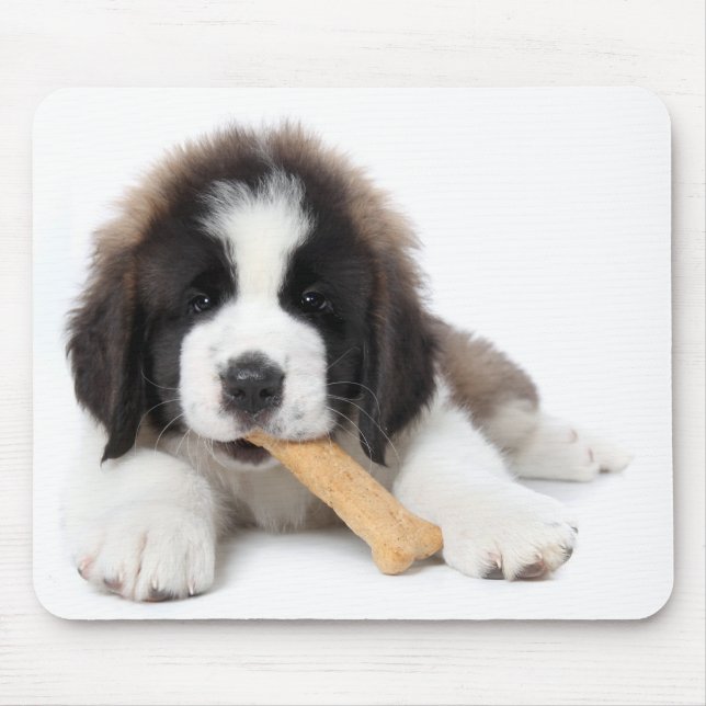 Adorable Saint Bernard Puppy Chewing on a Dog Bone Mouse Pad (Front)