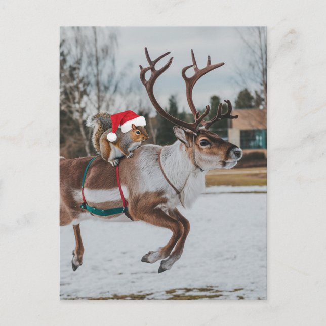 Adorable Santa Squirrel Leaping Reindeer in Snow Postcard (Front)