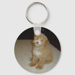 Adorable Schnoodle puppy Key Ring