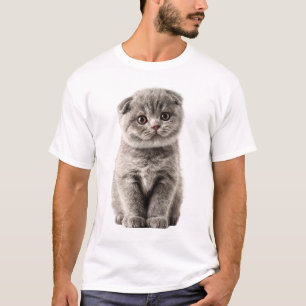 Adorable Scottish Fold Grey Kitten Portrait Men T-Shirt