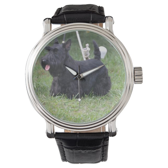 Adorable Scottish Terrier Watch (Front)