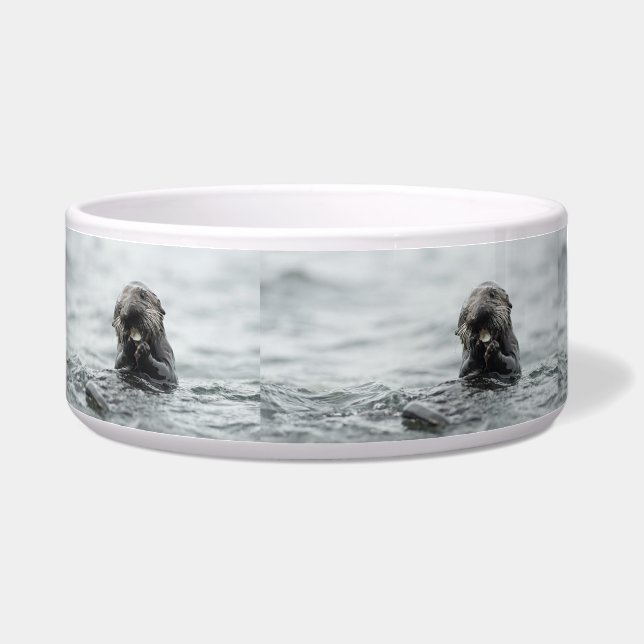 Adorable Sea Otter (Left)