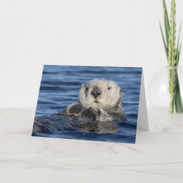 Adorable Sea Otter Card (Front)