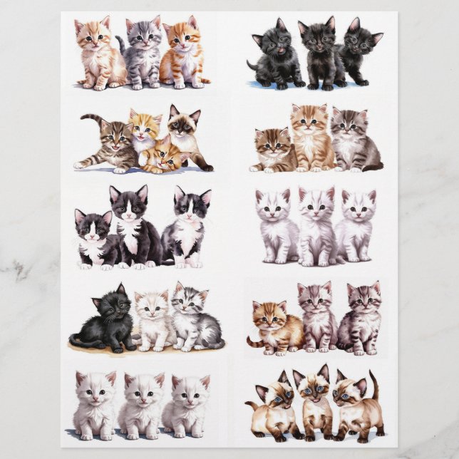 Adorable Sets of Watercolor Kittens (Front)