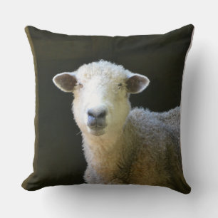 Adorable Sheep Cushion
