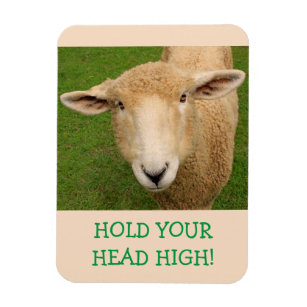 Adorable Sheep Encouragement Magnet