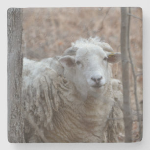 Adorable Sheep Stone Coaster