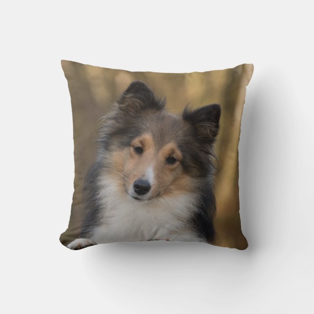 Adorable Sheltie Cushion (Front)
