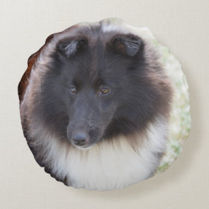 Adorable Sheltie Round Cushion