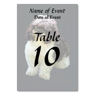 Adorable Shih Tzu Puppy Table Number