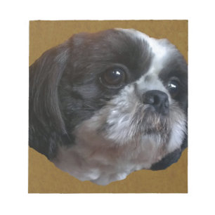 Adorable Shih tzu Rico Notepad