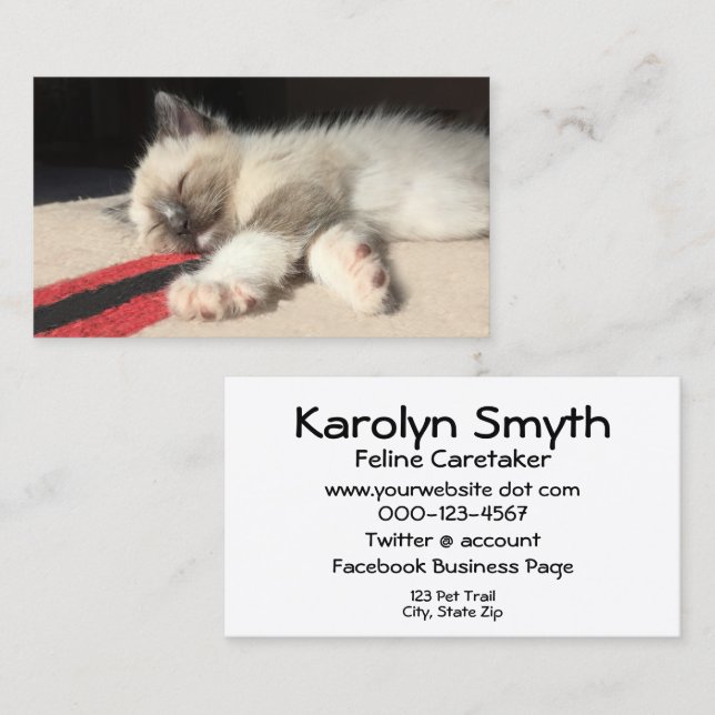 Adorable Siamese Kitten Photograph Animal Day Care Business Card (Front/Back)