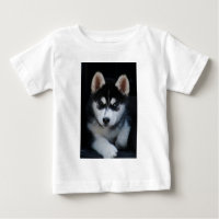 Adorable Siberian Husky Sled Dog Puppy
