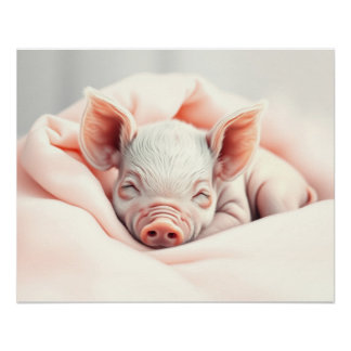 Adorable Sleeping Piglet in a Blanket Poster