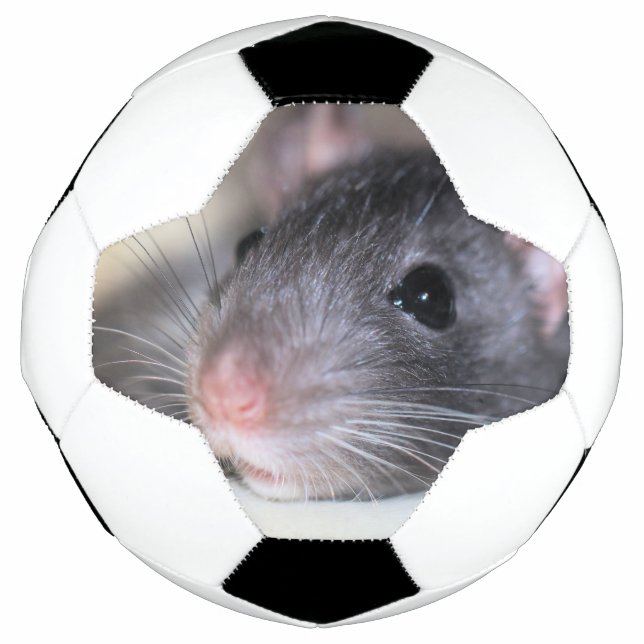 Adorable Soccer Ball (Front)