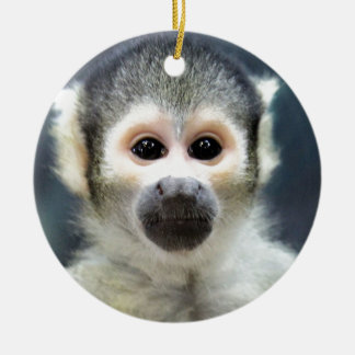 Adorable Spider Monkey Ceramic Tree Decoration