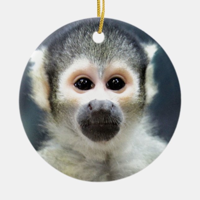 Adorable Spider Monkey Ceramic Tree Decoration (Front)