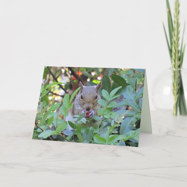 Adorable Squirrel Eating Berries Greeting Card (Front)