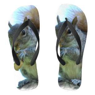 Adorable Squirrel Jandals